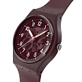 Часы Swatch Gent Biosourced Lacquered SO28R115 фото 3