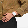 Часы Swatch New Gent Biosourced SO29W704-S14 фото 10
